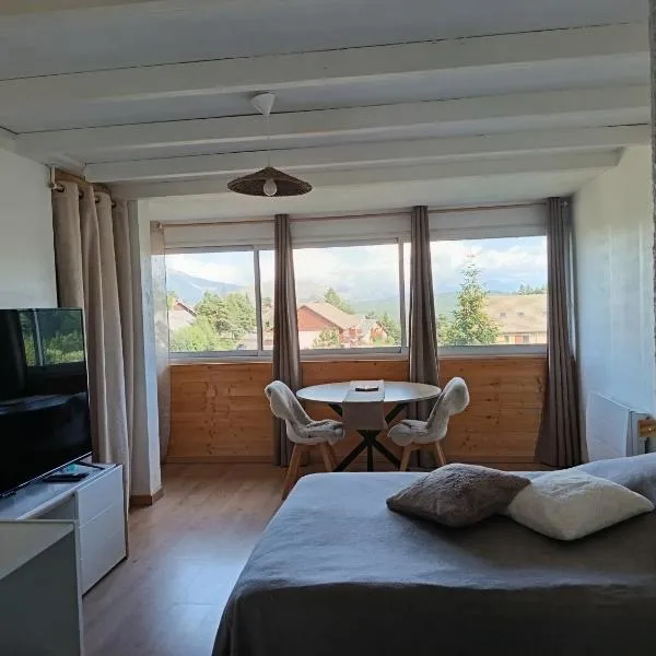 la marmotte du chalet numéro 2，位于Laye的酒店