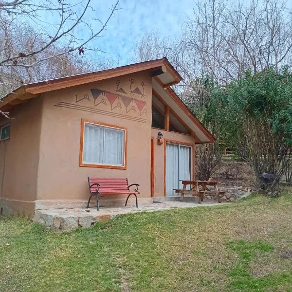 Cabañas Los Sauzales del Elqui，位于皮斯科艾齐的酒店