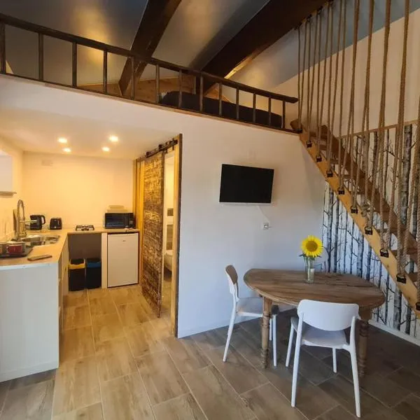 Studio mezzanine chez des mushers，位于Chassiecq的酒店