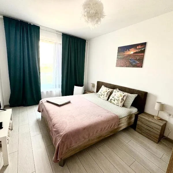 DAV apartment，位于奥托佩尼的酒店