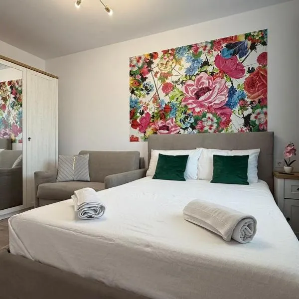 Rox Mountain View Apartament，位于莱斯诺夫的酒店