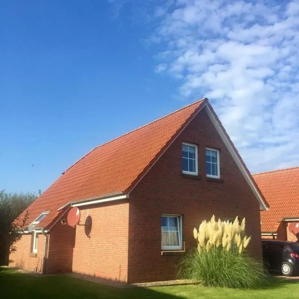 Haus Max，位于多尔努姆的酒店