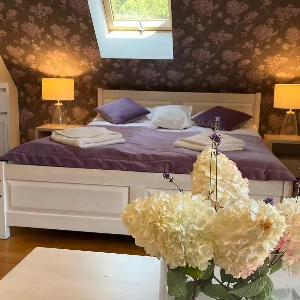Apartamety i Pokoje Gościnne Na Jaskółczej，位于希维拉杜夫-兹德鲁伊的酒店