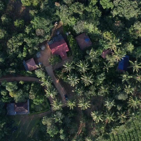 Hasiru Homestay,位于Mudigere的酒店