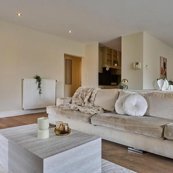 Aurora City Apartment，位于洛默尔的酒店