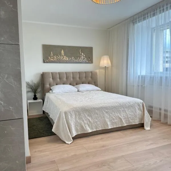 LILLE`S apartment in city center，位于阿卢克斯内的酒店