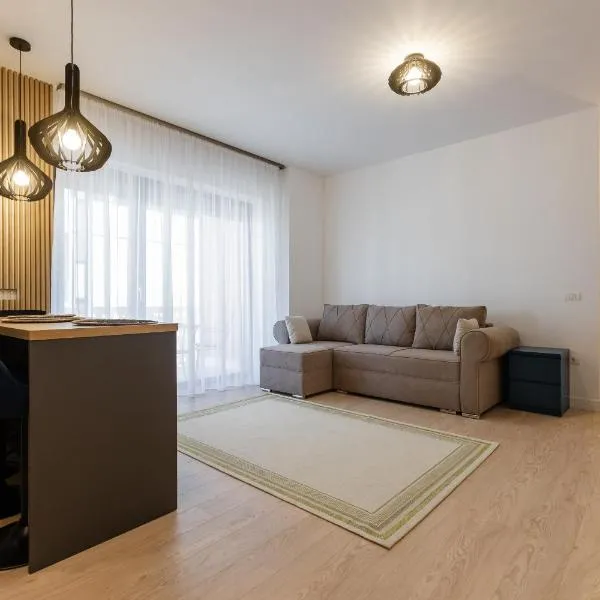 Future Apartment，位于蒂米什瓦拉的酒店