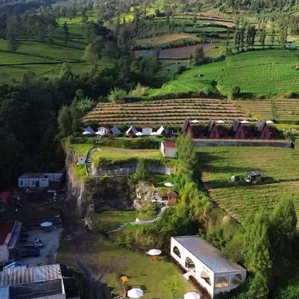 Dieng Latar Alam Tambi Syariah，位于Kejajar的酒店