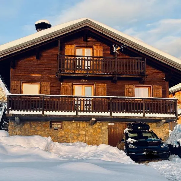 CHALET FAMILIAL AU PIED DES PISTES ET COMMERCES，位于Cohennoz的酒店