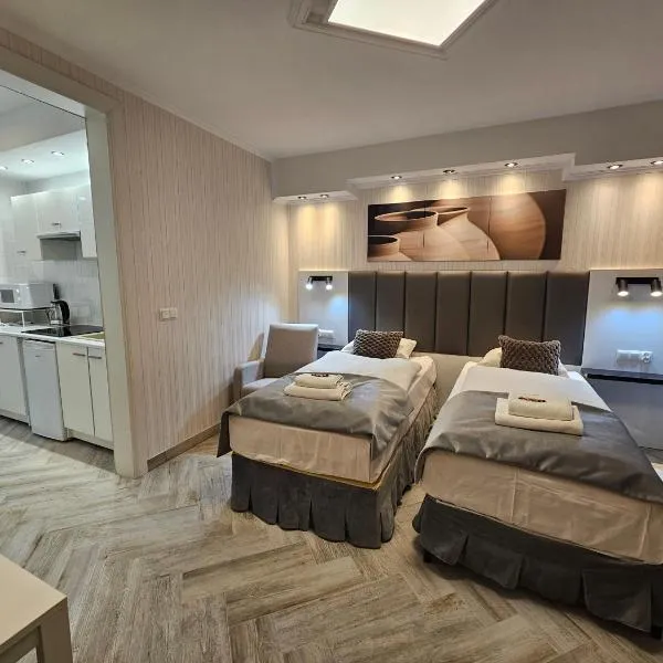 Apartamenty Hayduk，位于扎雷的酒店