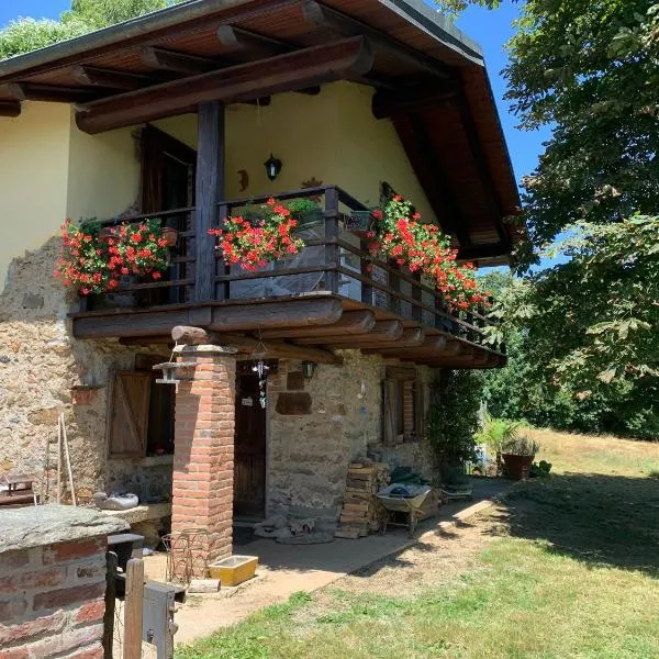 Mountain Chalet Ca' dal Ghiru by Villa Bernardino Galliari，位于Sagliano Micca的酒店