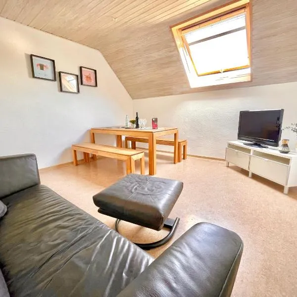 -Am Pfühlpark- Ferienwohnung，位于海尔布隆的酒店