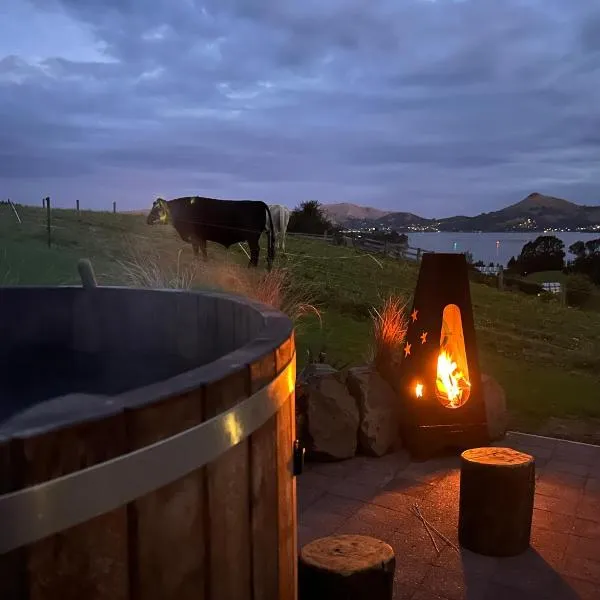 Harbour Hideaway，位于但尼丁的酒店