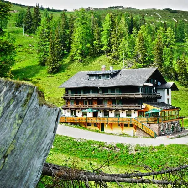 Hotel Alpen Arnika，位于Tauplitzalm的酒店