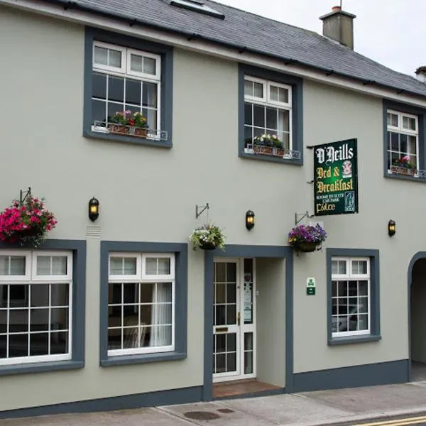 O Neills Bed and Breakfast，位于丁格尔的酒店