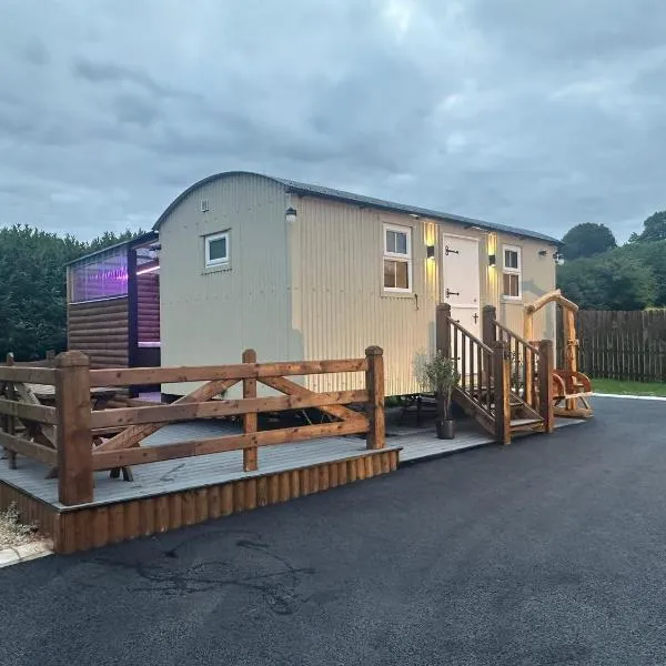 Doon Shepherds Hut，位于Tempo的酒店