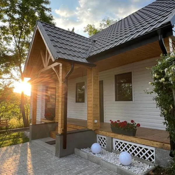 Roua Chalet，位于Nemţişor的酒店