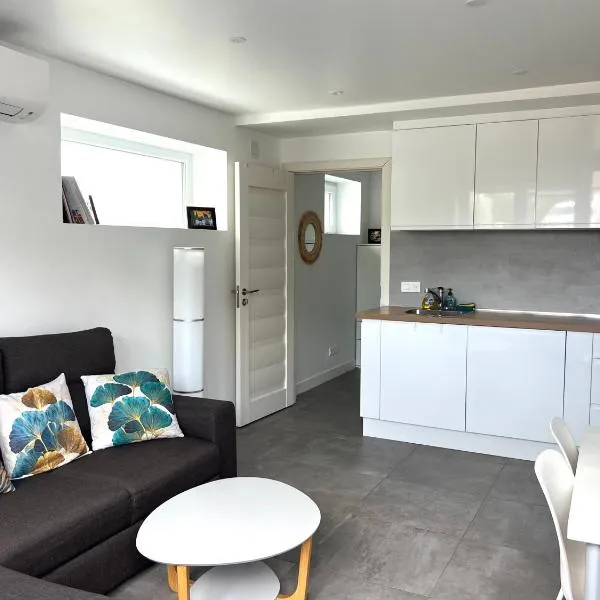 Appartement T2 calme à Illkirch，位于伊尔基希-格拉芬斯塔登的酒店
