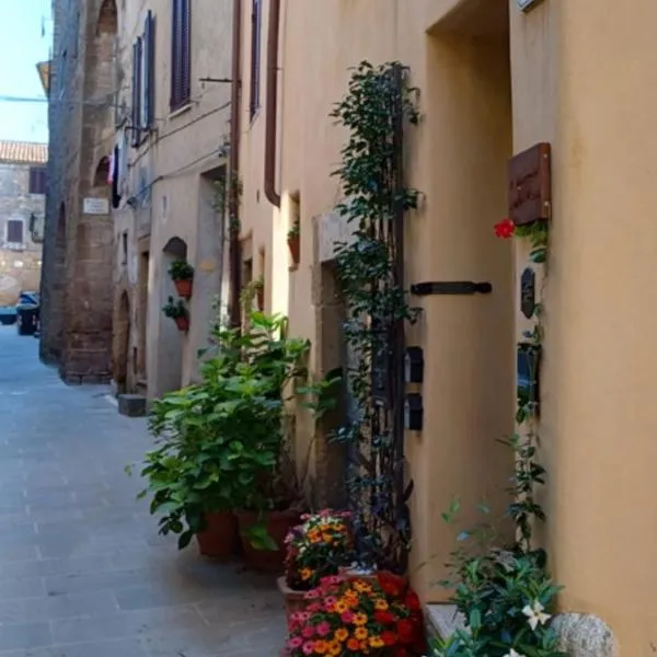 il Cantuccio，位于皮蒂利亚诺的酒店