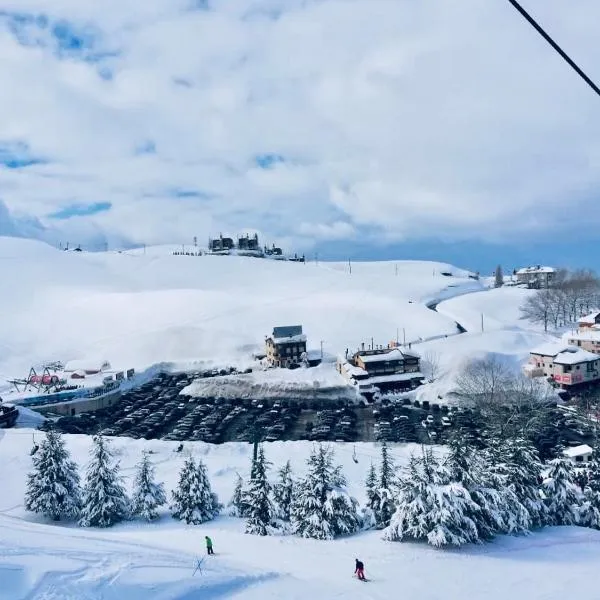 Austria Mzaar Chalets & Services，位于科法德比安的酒店