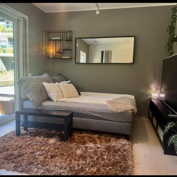 Cozy Central Apartment，位于克里斯蒂安桑的酒店