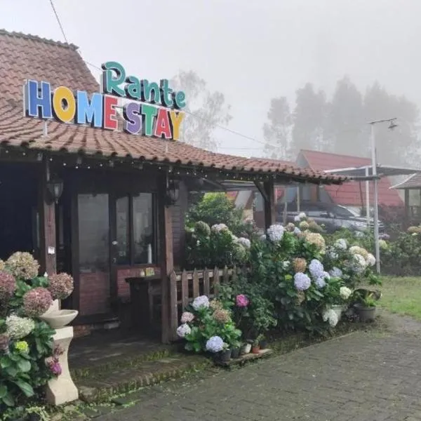 Rante Homestay & Cafe，位于Biau的酒店
