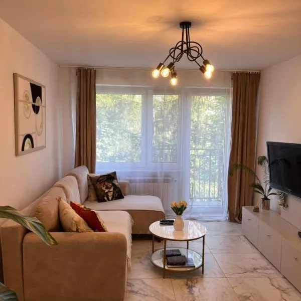 Sara Apartament，位于图雷克的酒店