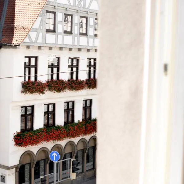 Boutique Apartment LIMONIA - Historic Heart of Ulm，位于乌尔姆的酒店