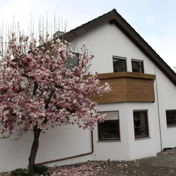 Ferienwohnung In Bempflingen，位于Bempflingen的酒店
