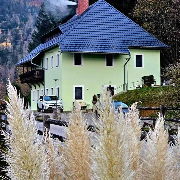 Villa Alpine Spirit，位于Gösing an der Mariazeller Bahn的酒店