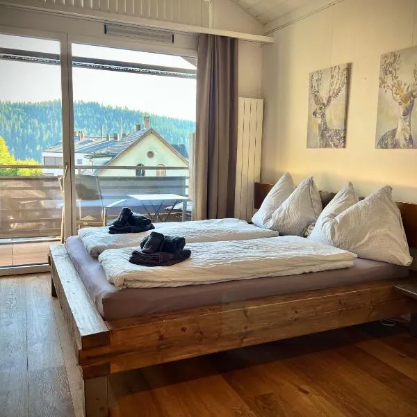 Studio Top im des Alpes，位于弗利姆斯的酒店