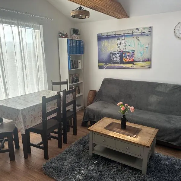 Aqua Garden Junior Miercurea Ciuc,位于密古雷休治的酒店