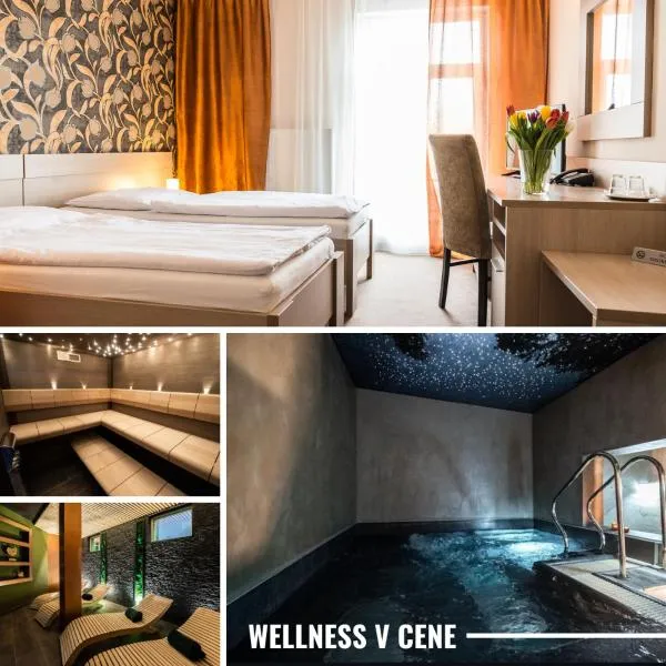 达斯坦酒店，位于莱维采的酒店