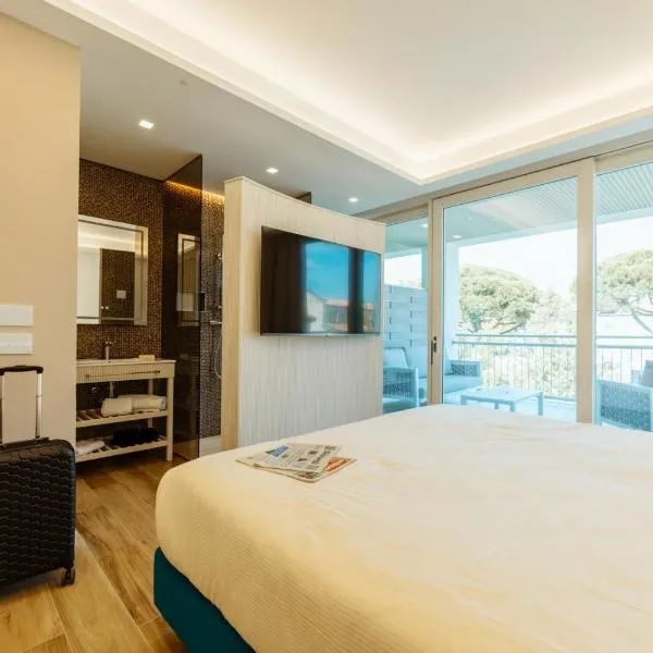 Wine Hotel Lugana Parco al Lago，位于西尔米奥奈的酒店