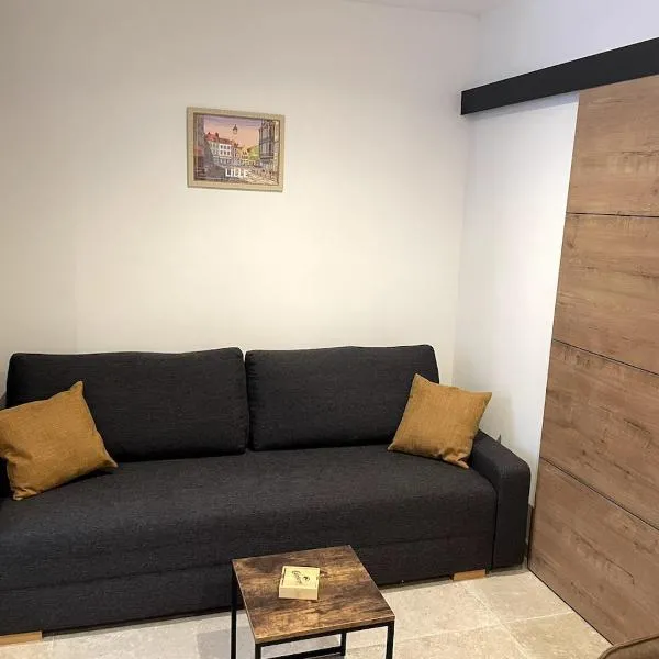 Studio Cosy Lezennes Decathlon Arena，位于勒藏讷的酒店