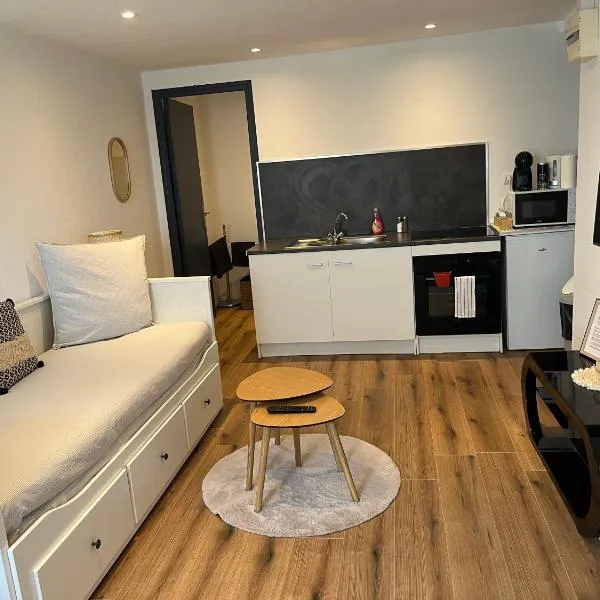 Charmant Studio à Rixheim，位于里克塞姆的酒店