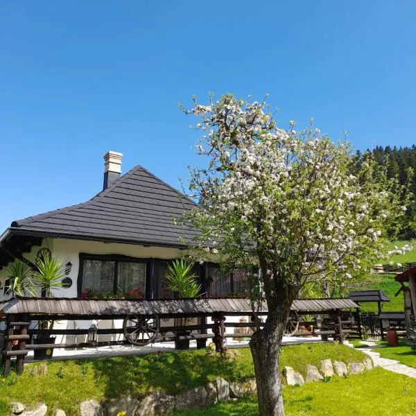 Casa tradițională bucovineana，位于普特纳的酒店