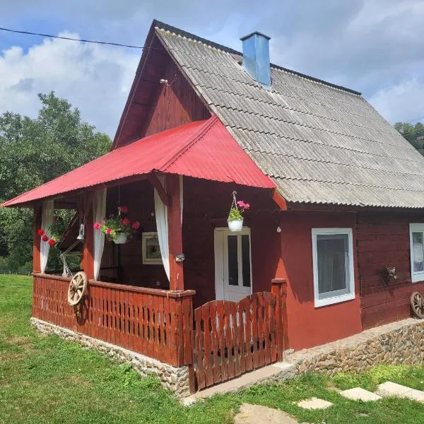 La căsuță，位于Avram Iancu的酒店