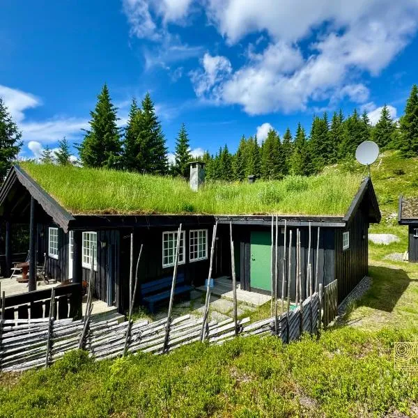 Cozy spacious cabin with sauna at Natrudstilen，位于Ringsaker的酒店