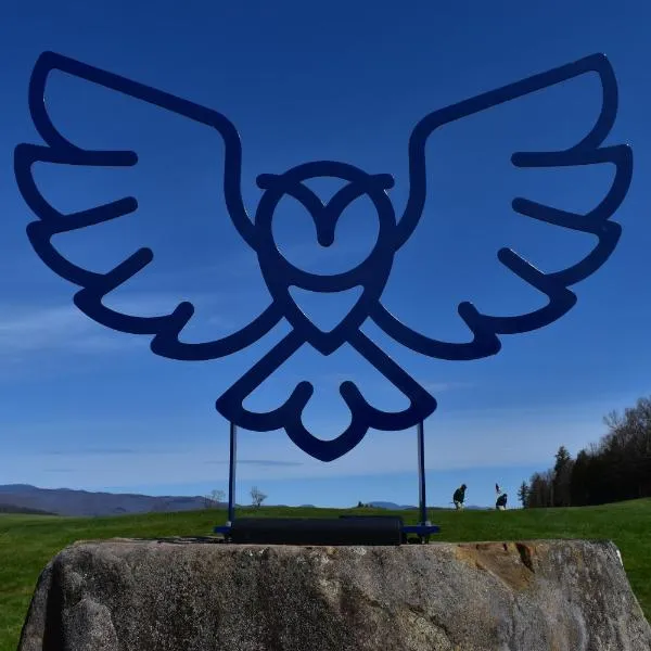 Owl's Nest Resort，位于Thornton的酒店