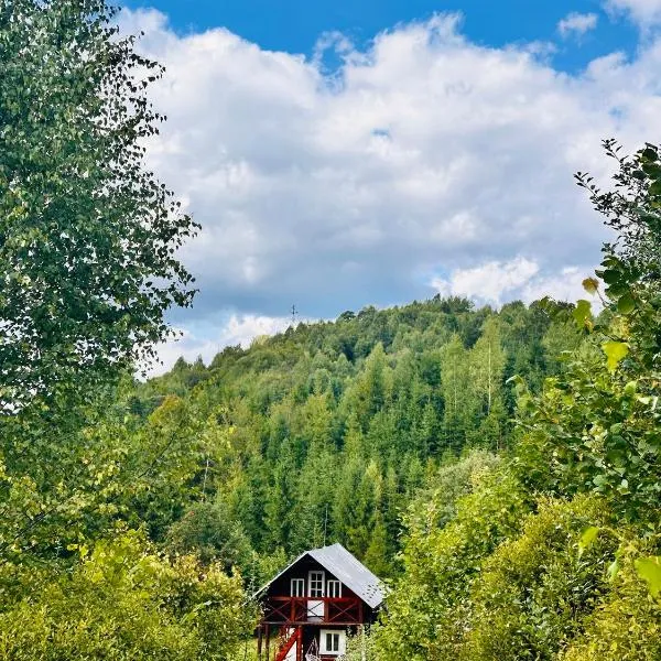 Medvidske，位于Tukhlya的酒店