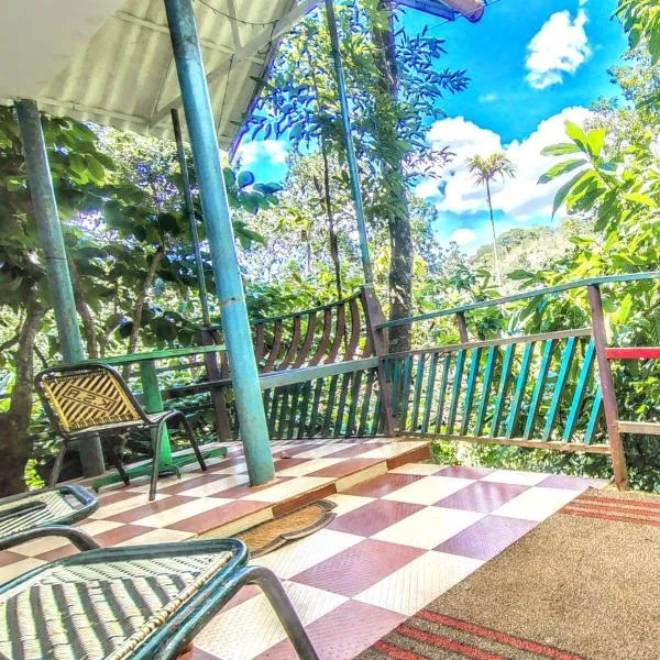 Green porticos villas munnar 2 bedroom private cottage，位于Anachal的酒店