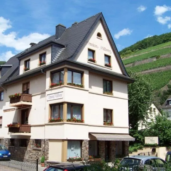 Pension Milberg Assmannshausen，位于吕德斯海姆的酒店