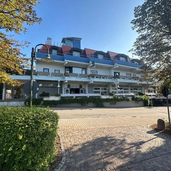 Apartmenthaus Wilder Mann，位于Obrigheim的酒店