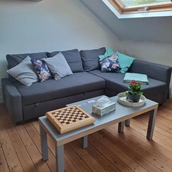 Appartement Centre ville 2 ou 4 personnes,位于Pont-Saint-Pierre的酒店