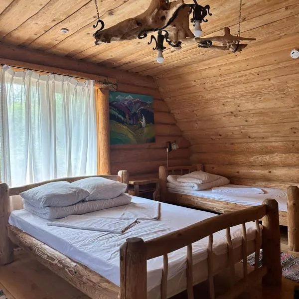 Будинок Художника Шипіт，位于皮利佩齐的酒店