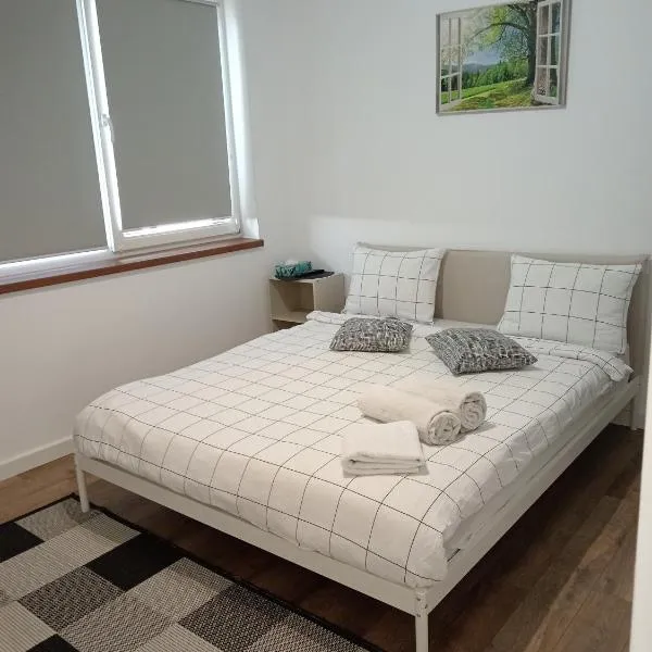 Zen aeroport，位于Sînnicoară的酒店