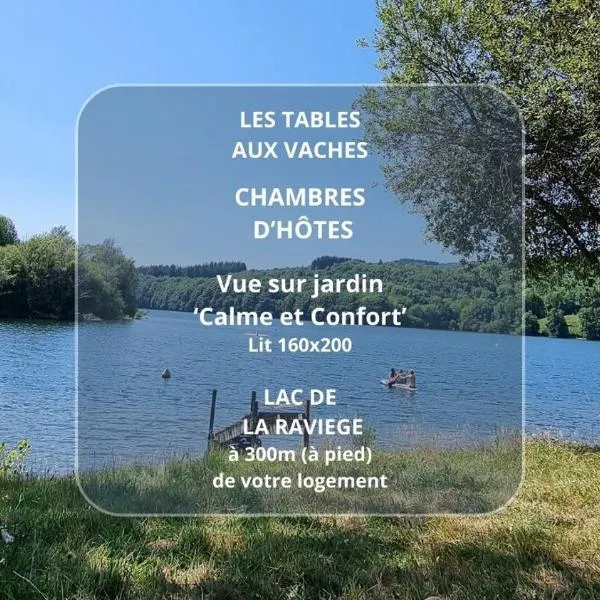 Les Tables Aux Vaches à la Salvetat，位于拉萨尔韦塔的酒店