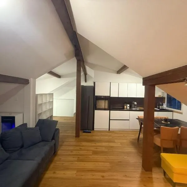 Ferienwohnung Winterzeit near Interlaken Thun Spiez Kandersteg，位于Wimmis的酒店