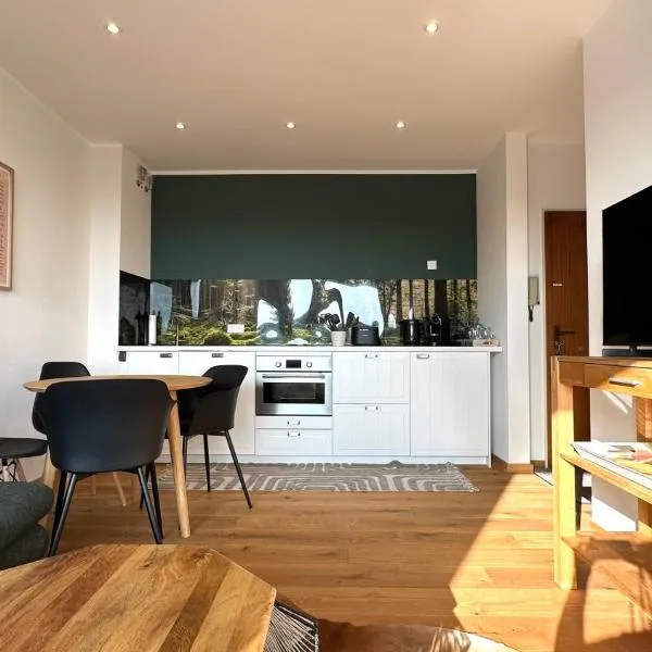 Loipenteufel - Zentral modern & am Lift mit Garage，位于温特贝格的酒店